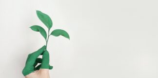 Ministr považuje přechod z konvenčního pěstování k ekologické produkci za správný a potřebný krok